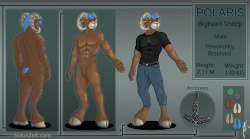 Reference sheet Polaris